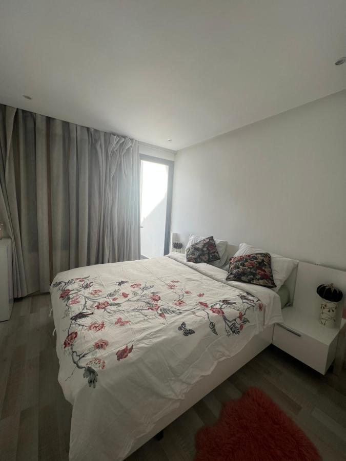 Luxueux Et Contemporain *